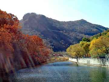 海藻鱼大全,海藻鱼图片